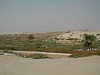 Bethabara - green wadi in desert.JPG