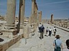 Jerash - Cardo.JPG
