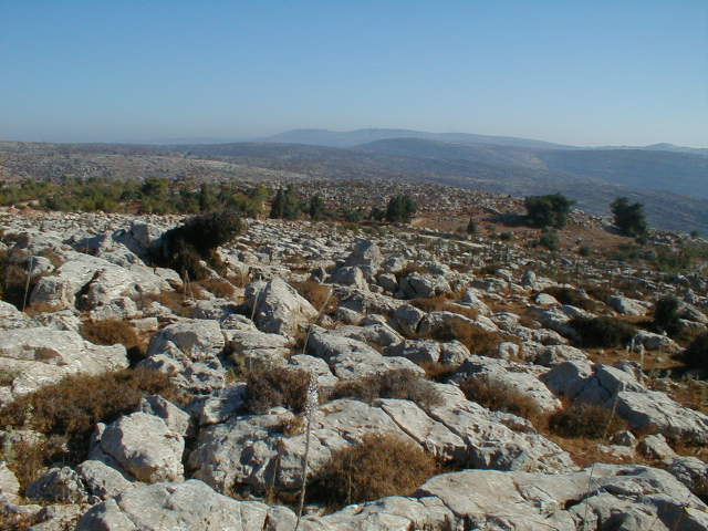 Bethel of Jacob.JPG
