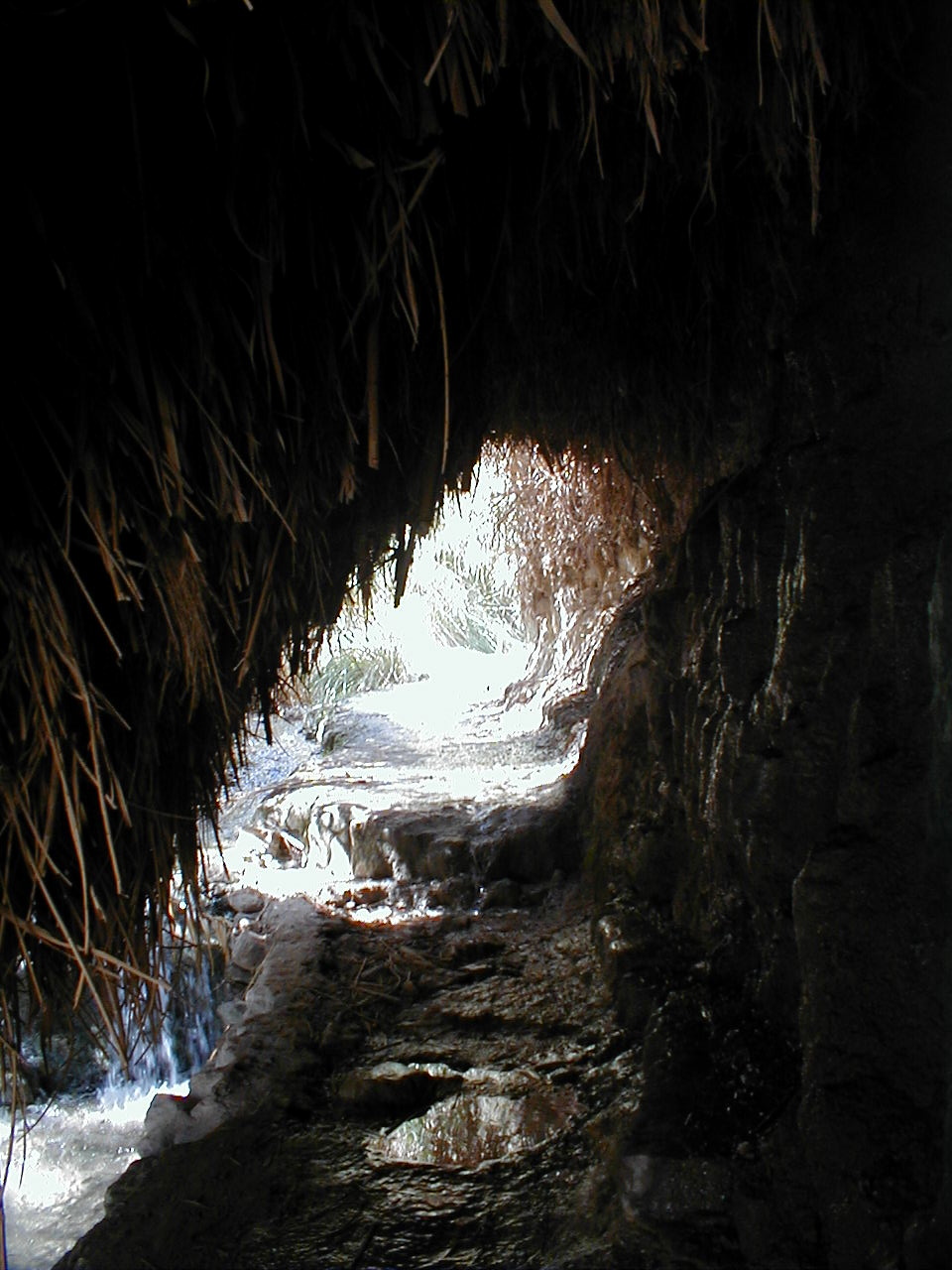 Ein Gedi - covered path.JPG