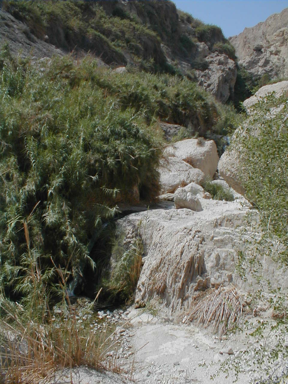 Ein Gedi - first falls.JPG