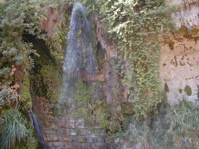 Ein Gedi - waterfall.JPG