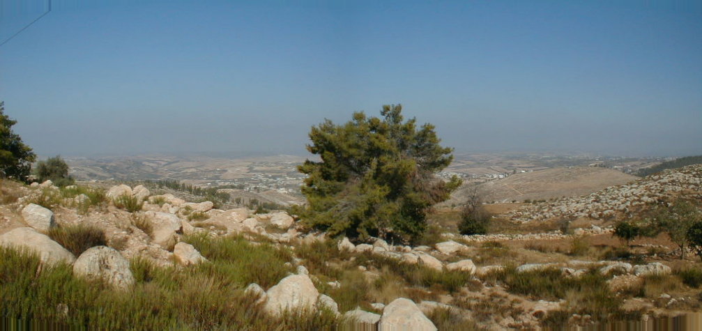 Shephelah.jpg