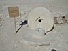 Avdat Oil Press parts.JPG