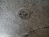 Avdat cave ceiling.JPG