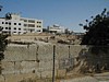 Plain of Mamre.JPG
