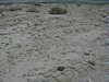 Qumran Cemetery 1.JPG