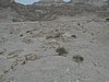 Qumran Cemetery 2.JPG
