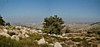 Shephelah.jpg