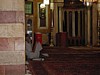 pic07.JPG