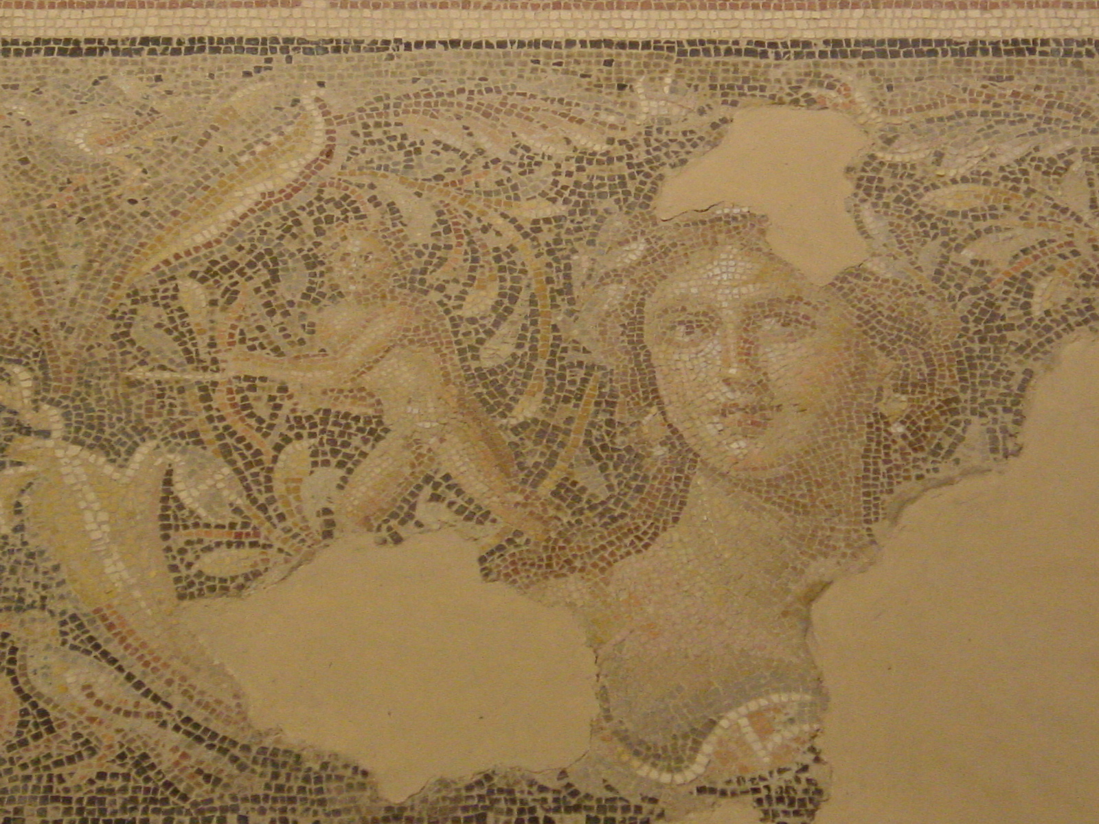 pic15.JPG