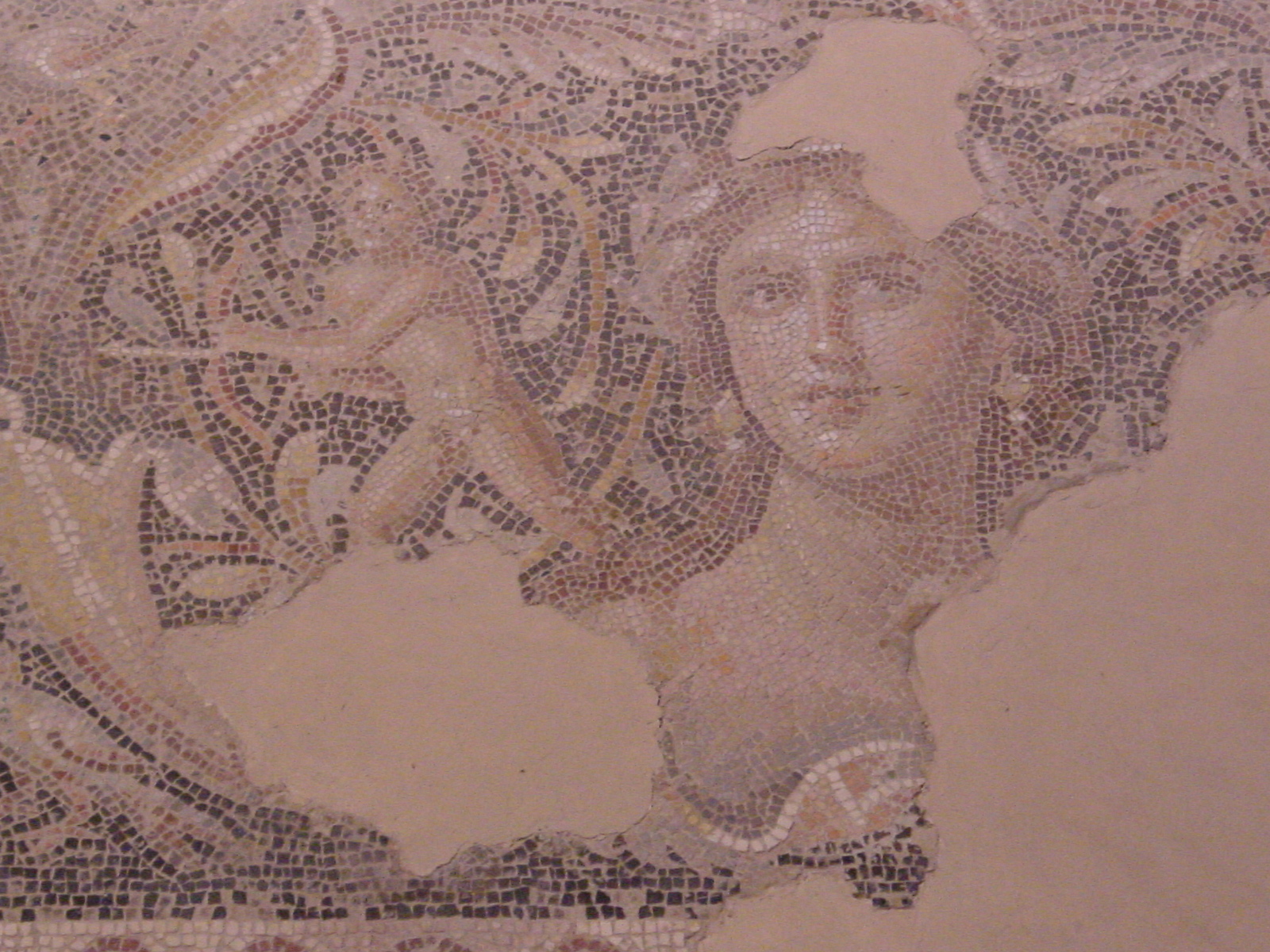pic16.JPG