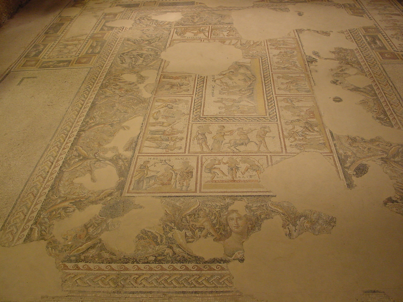 pic17.JPG