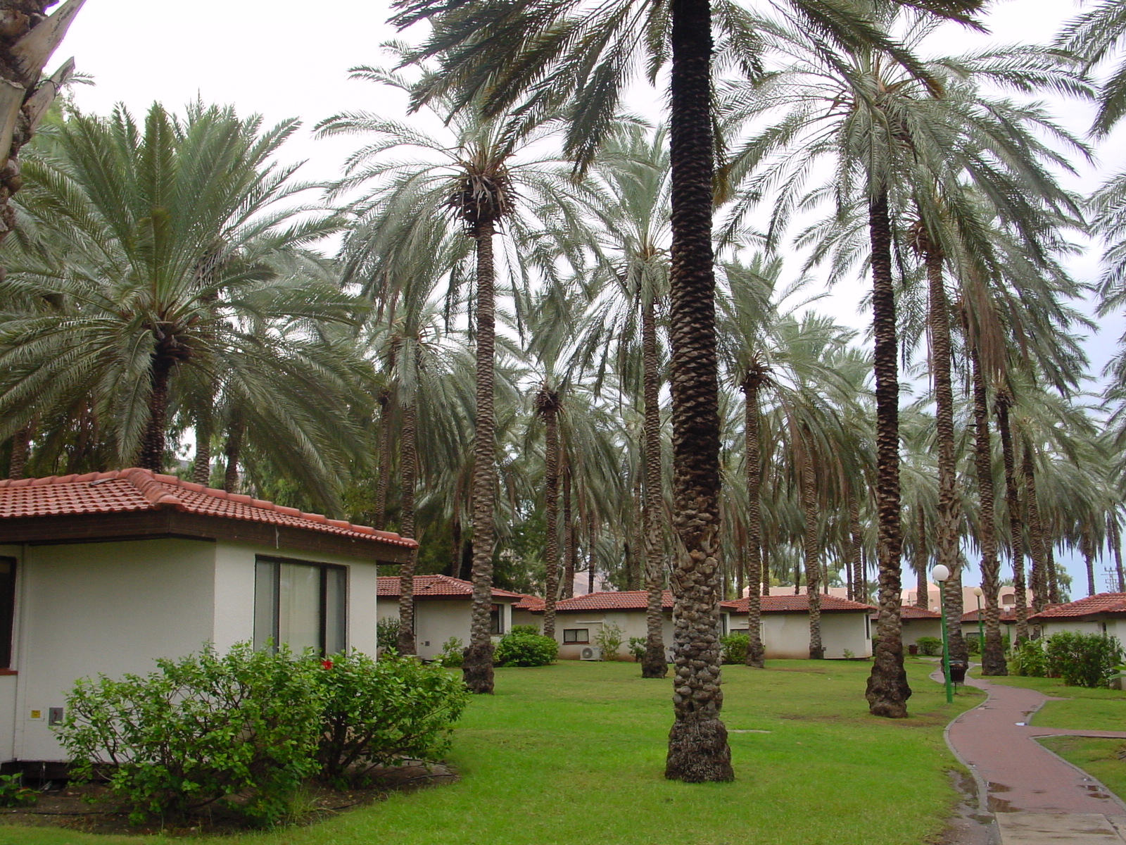 pic20.JPG