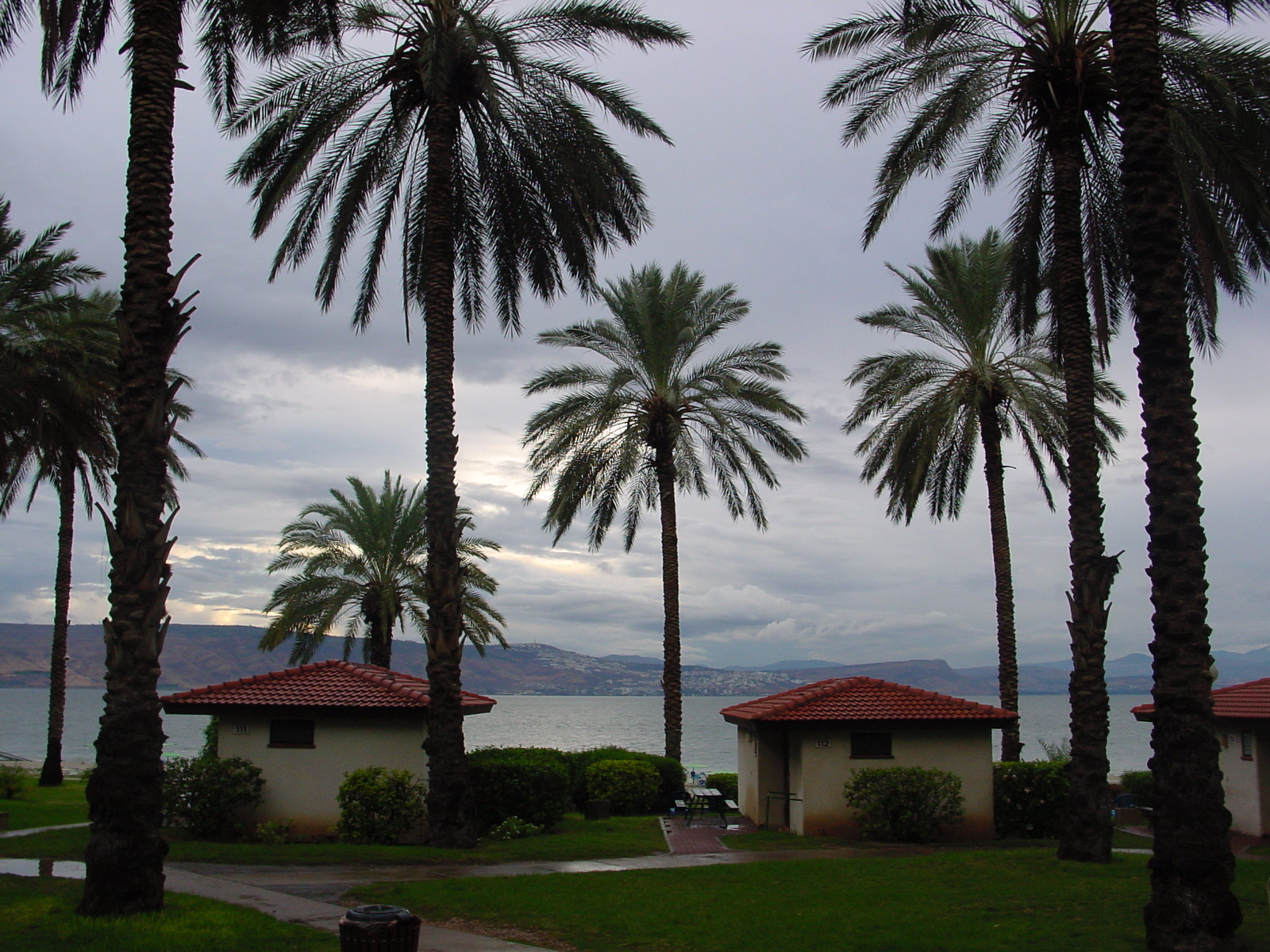 pic21.JPG