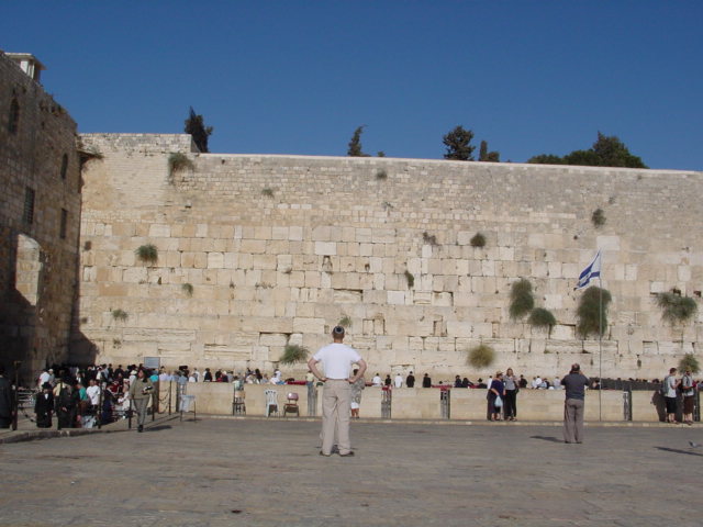 pic04.JPG