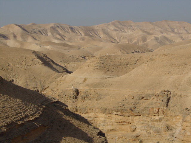 pic06.JPG