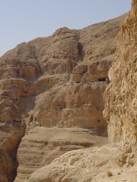 pic11.JPG