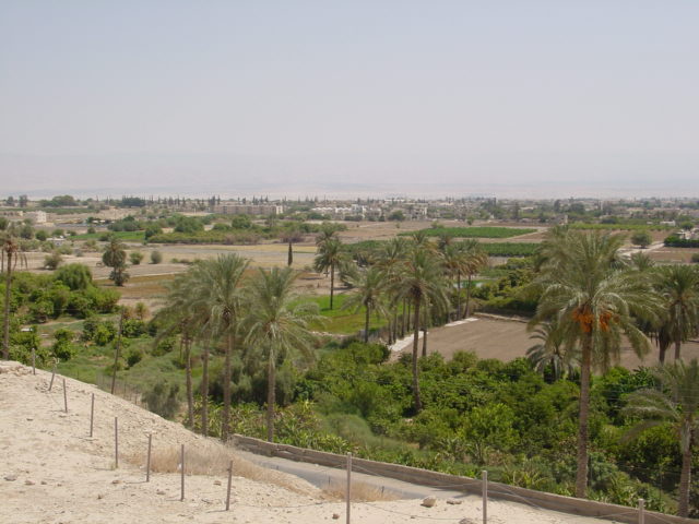 pic13.JPG