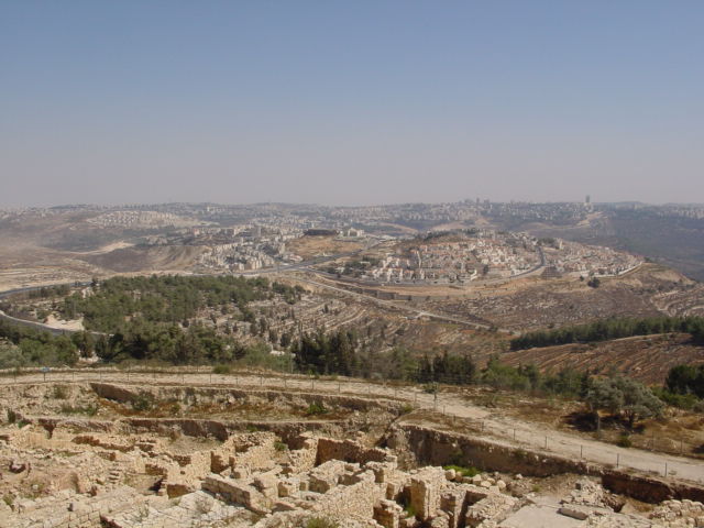pic19.JPG