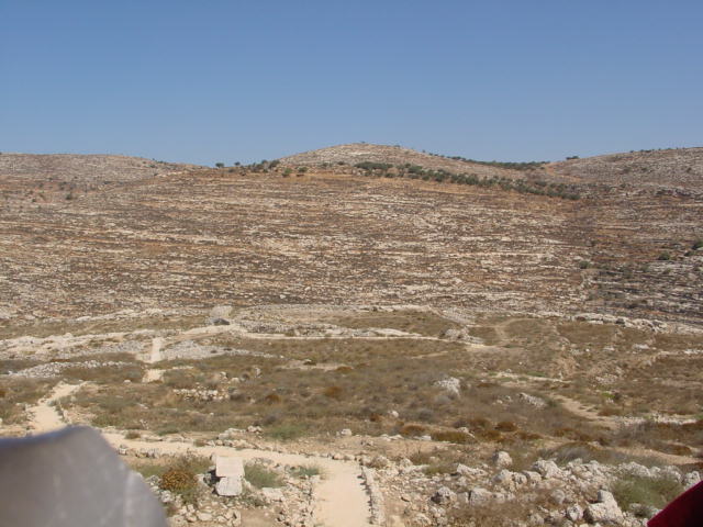 pic23.JPG