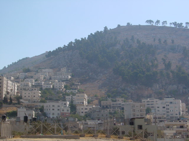 pic25.JPG