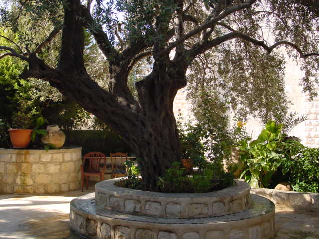 pic26.JPG