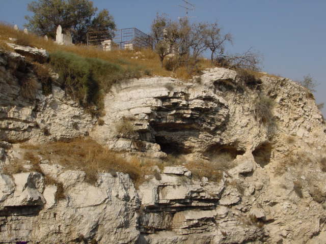 pic35.JPG