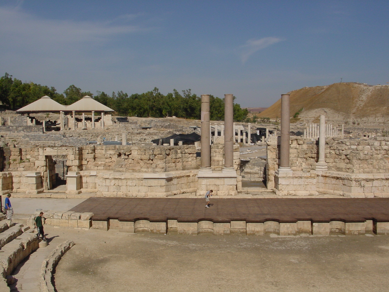 pic01.JPG