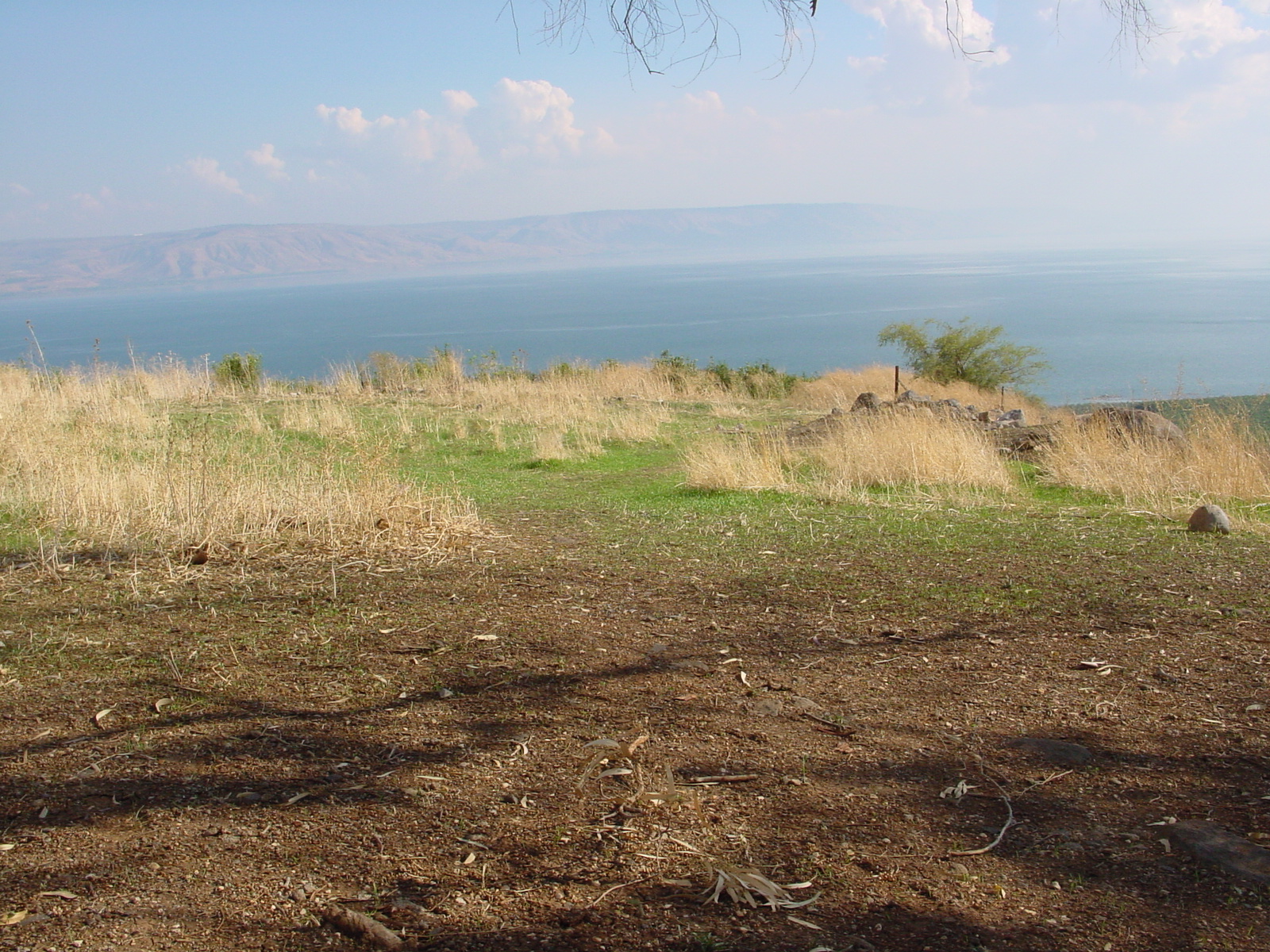 pic09.JPG