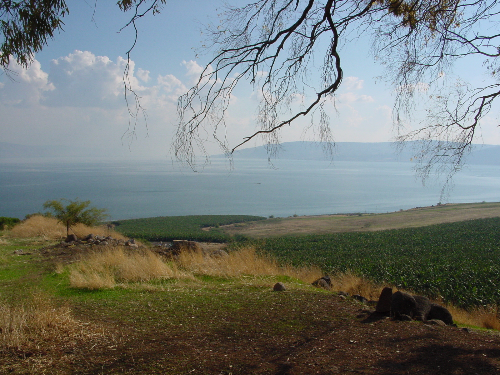 pic10.JPG