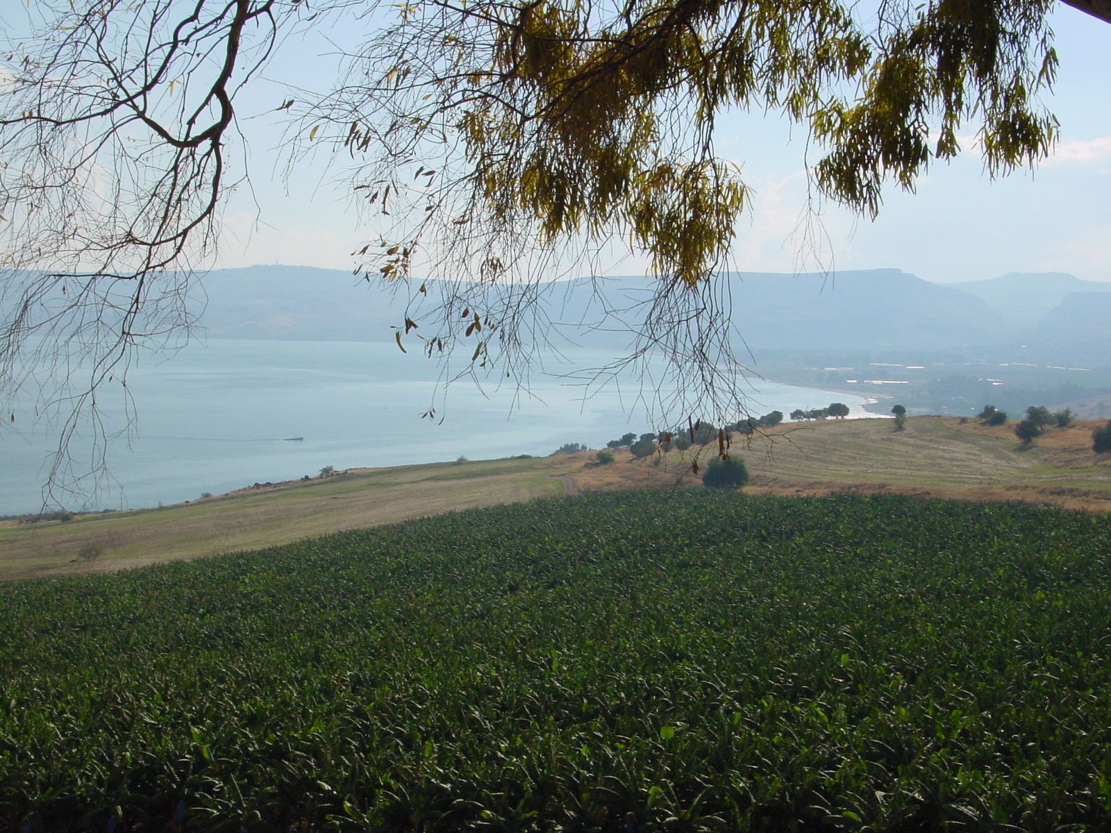 pic12.JPG