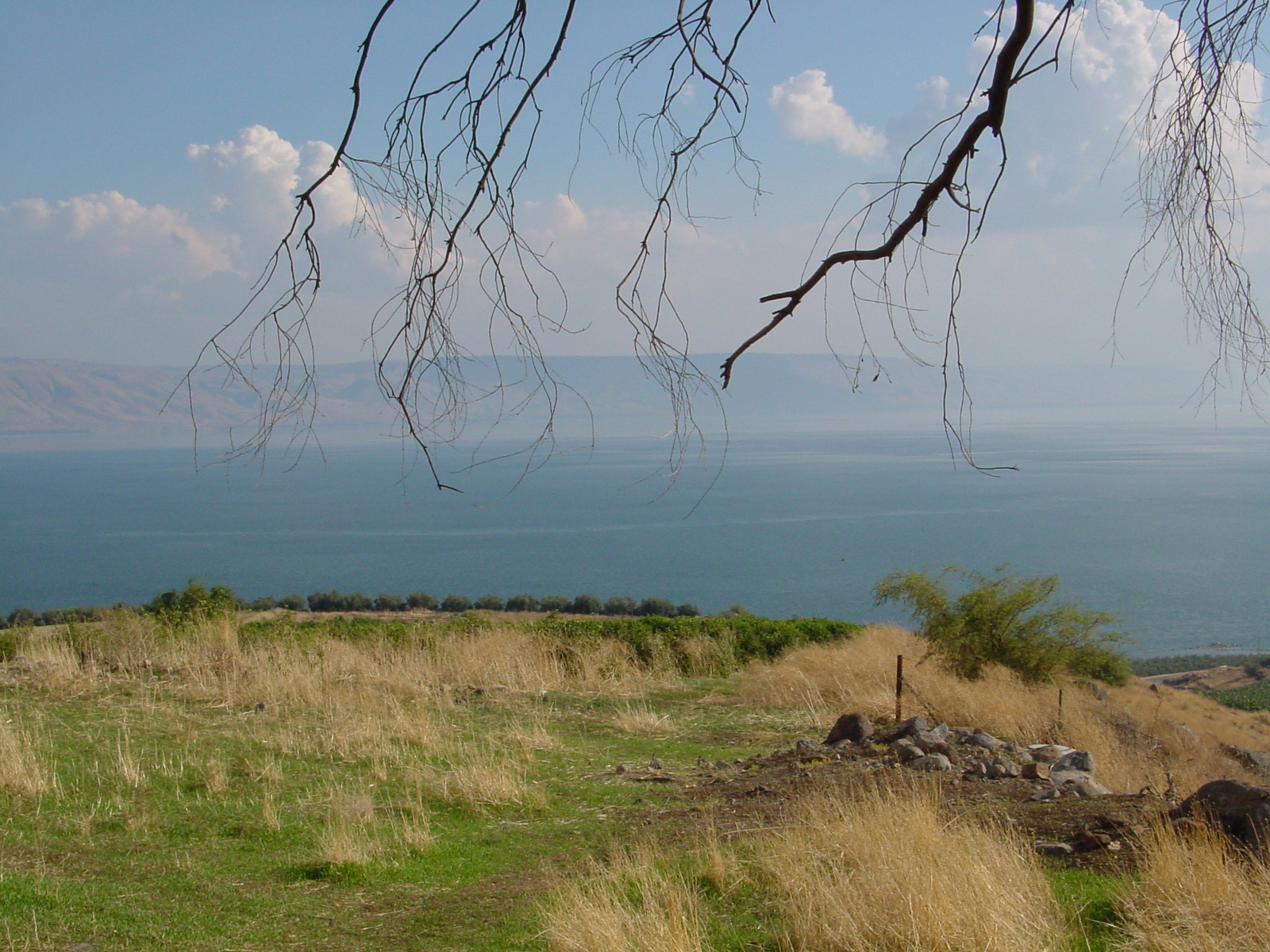 pic13.JPG