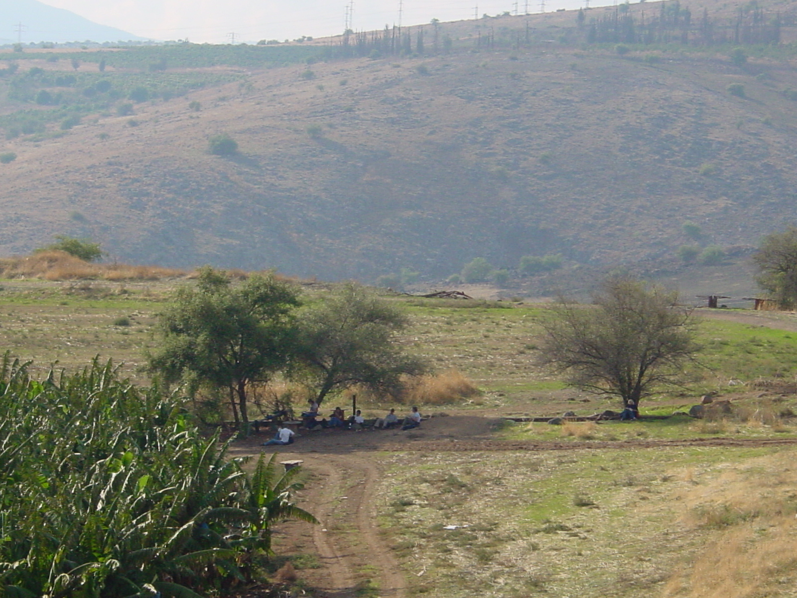pic14.JPG