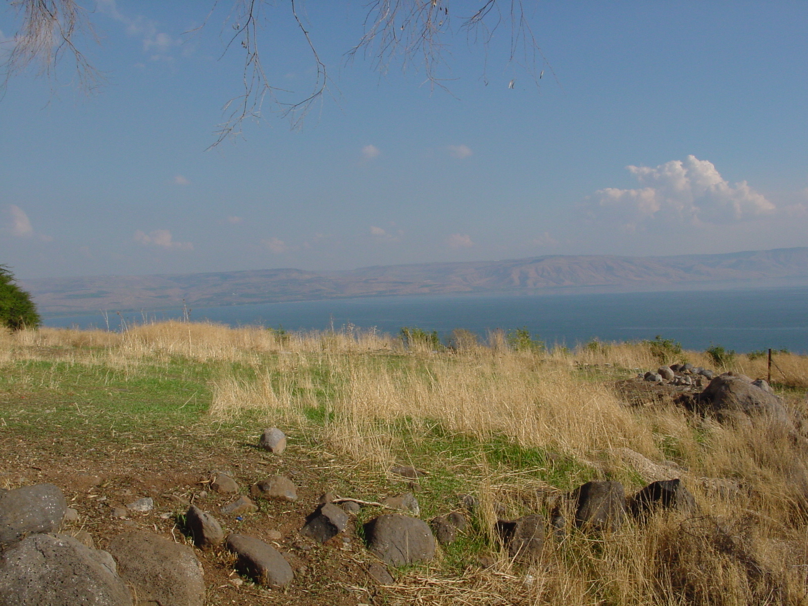 pic15.JPG