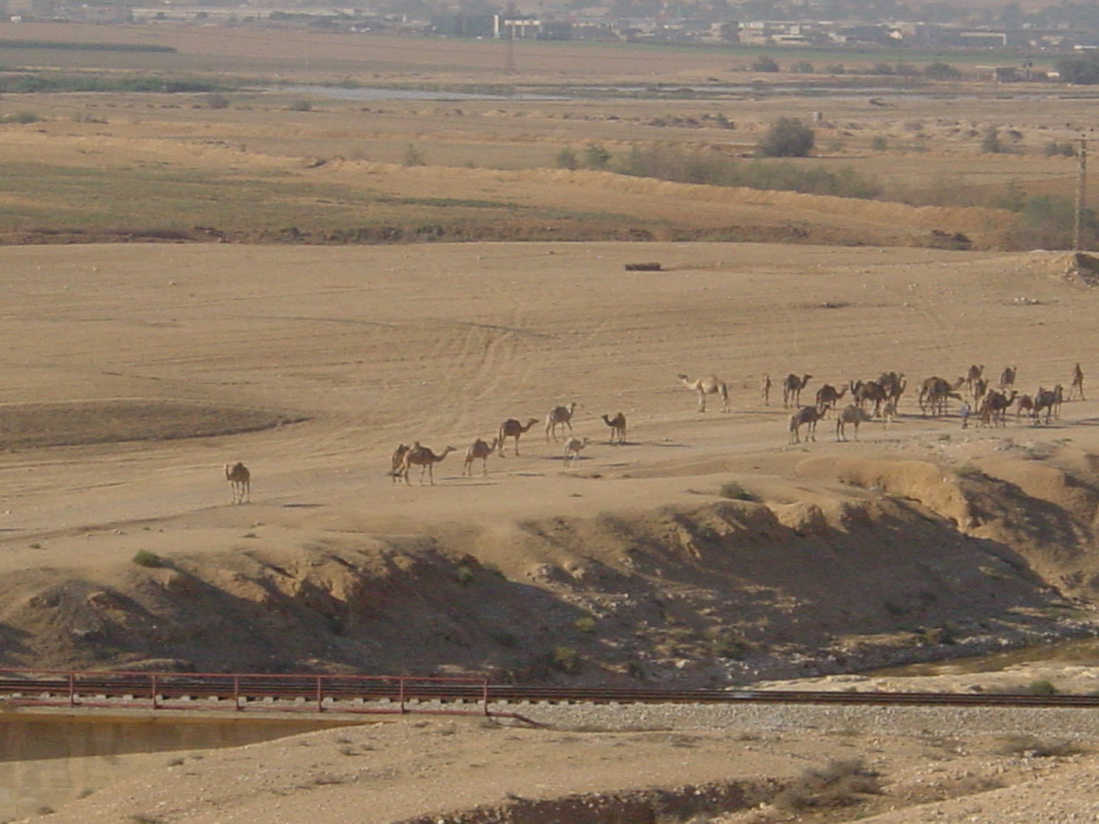 pic01.JPG