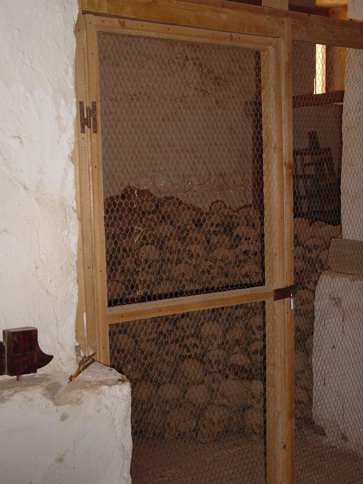 pic23.JPG