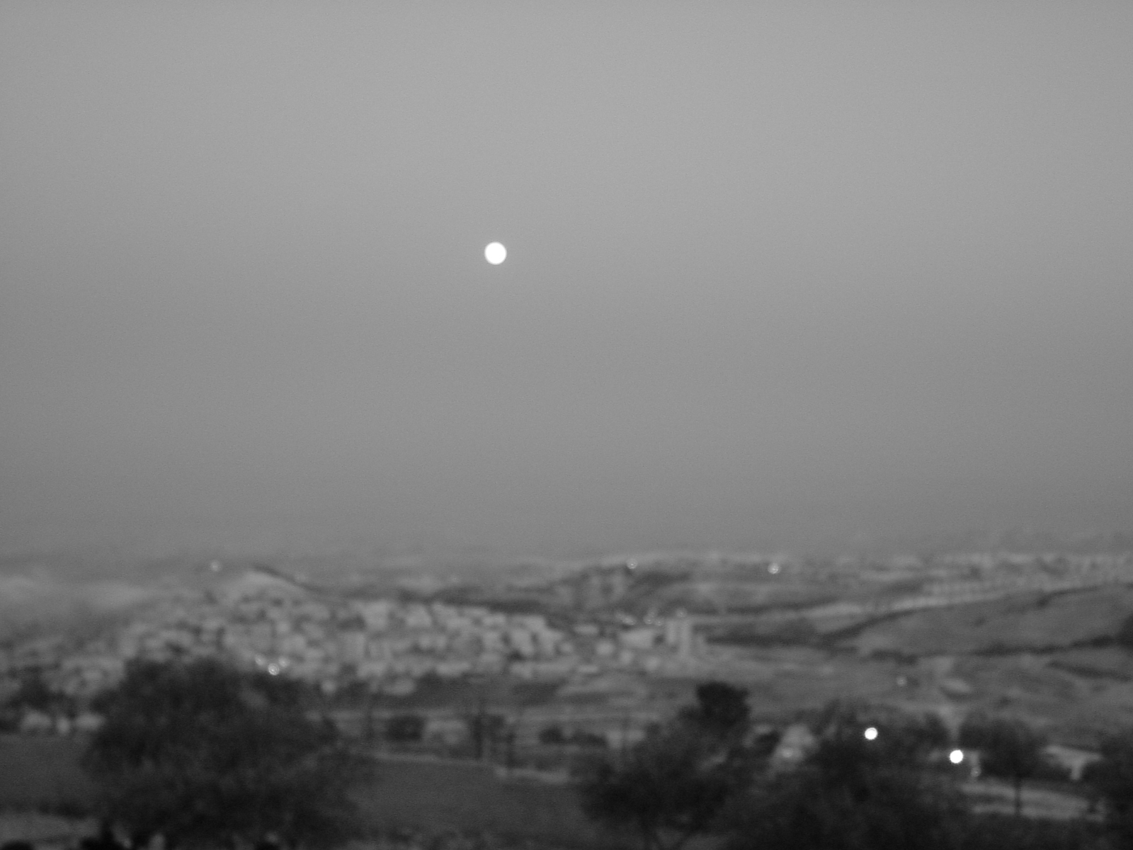 pic30.JPG