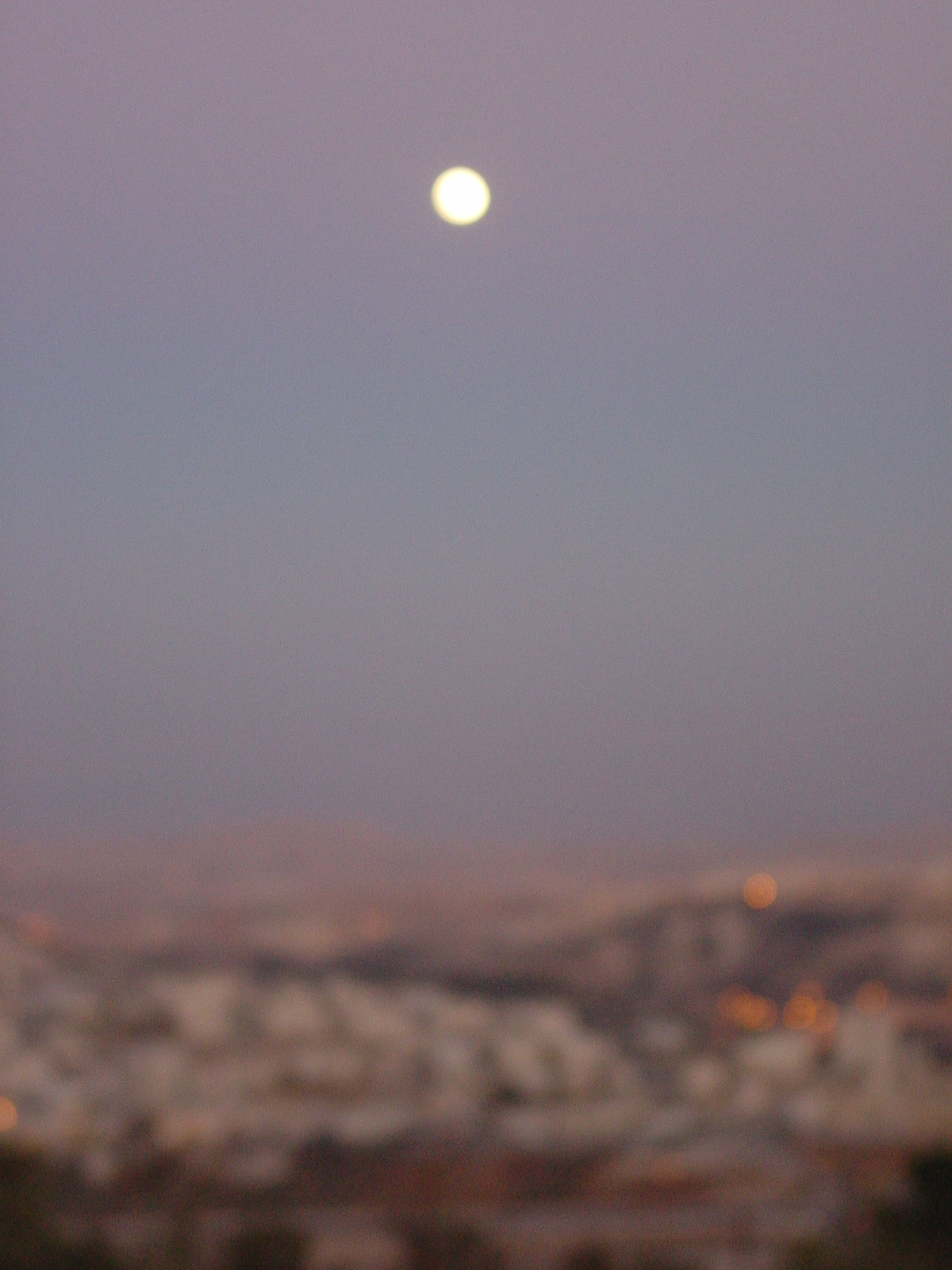 pic31.JPG