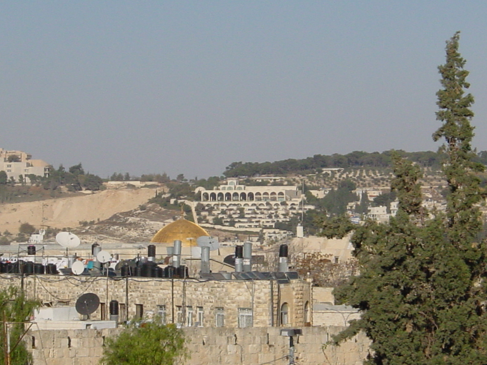 pic03.JPG