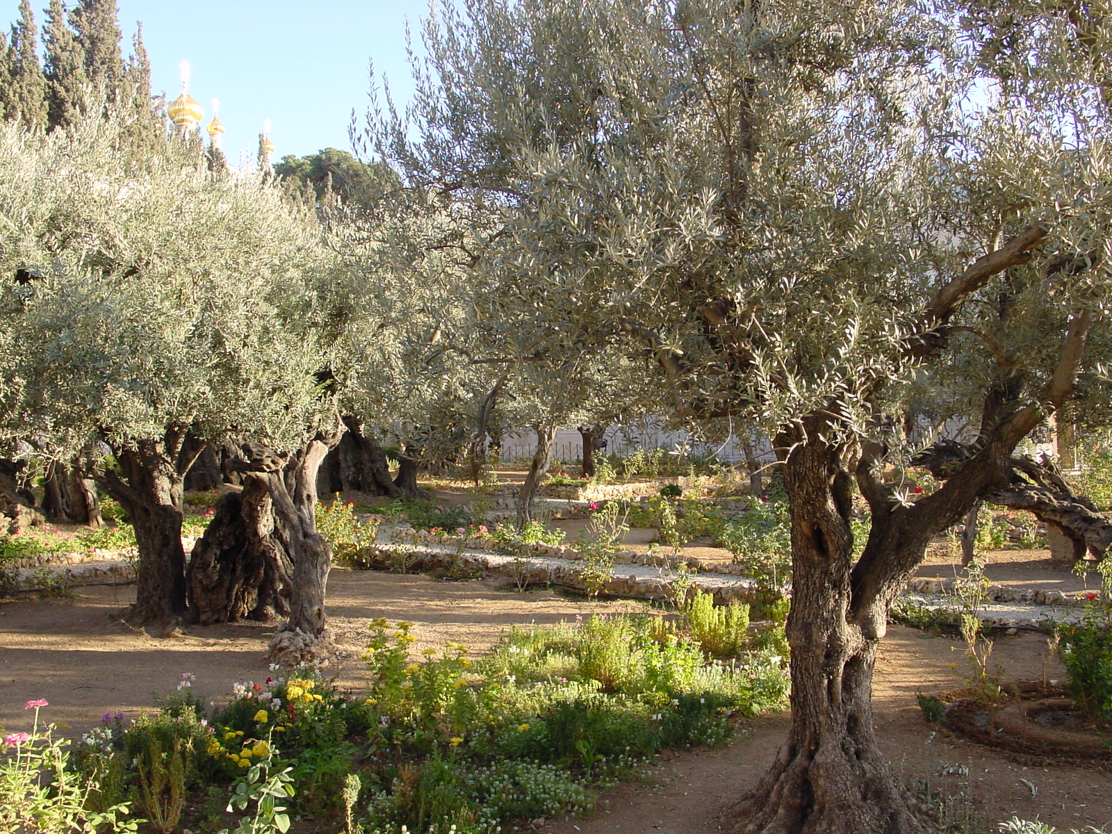 pic14.JPG