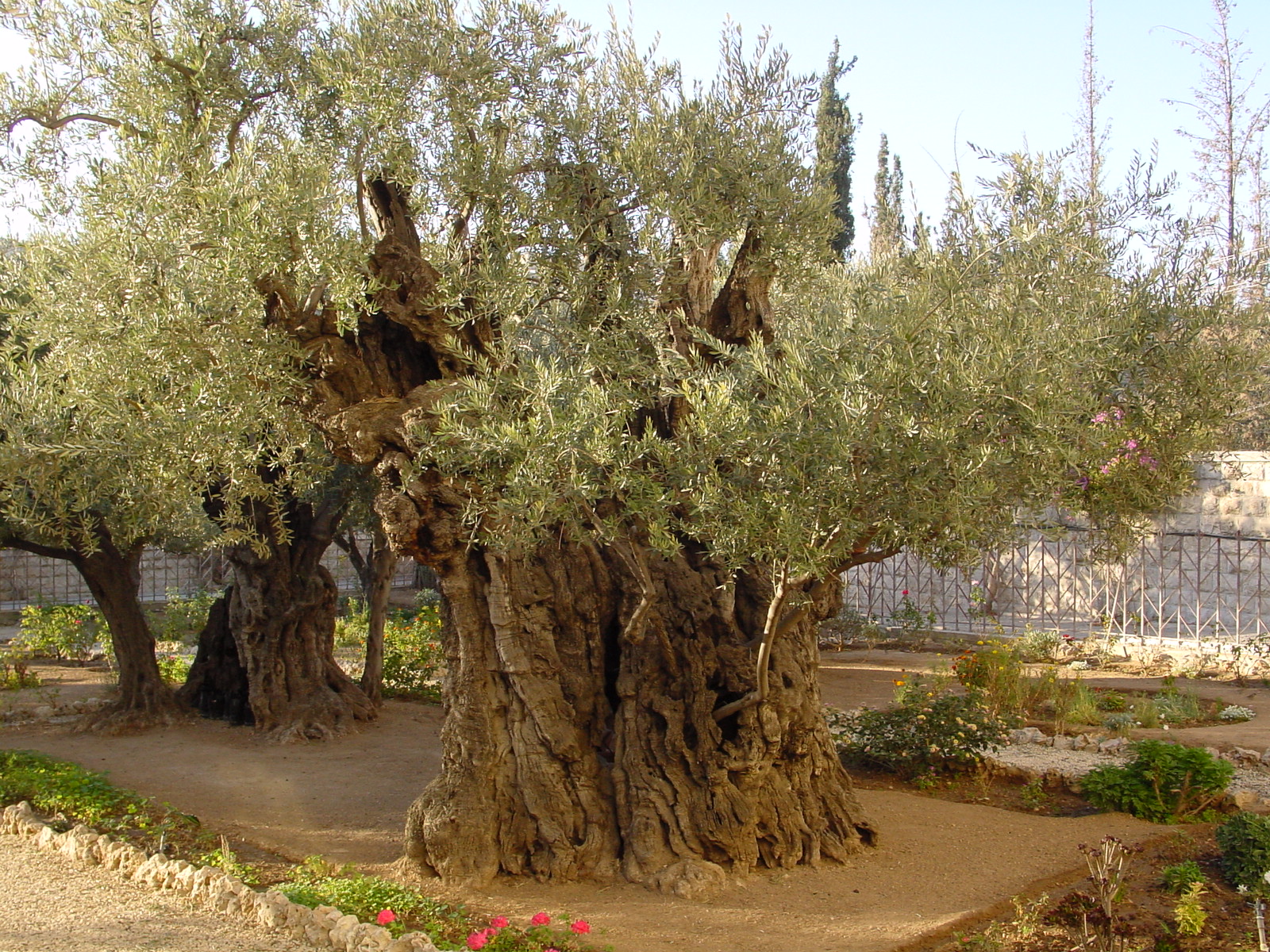 pic15.JPG