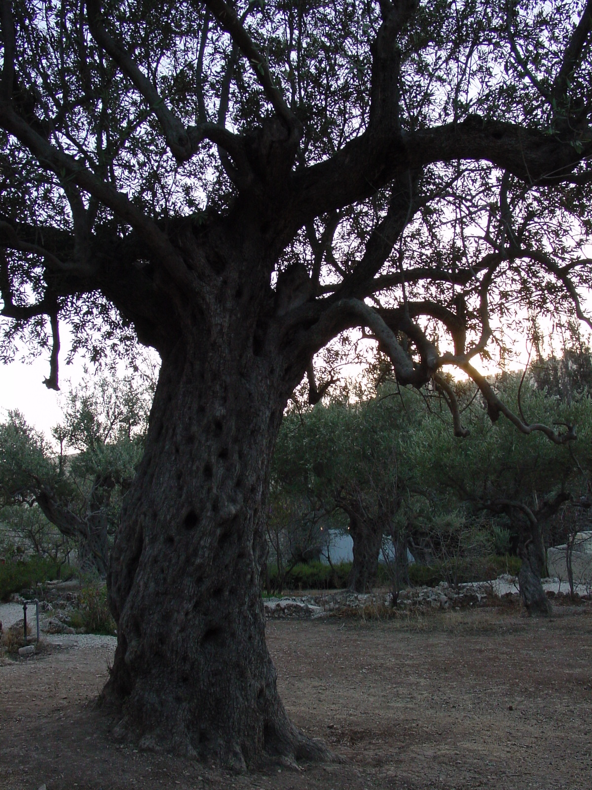 pic16.JPG