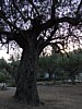 pic16.JPG