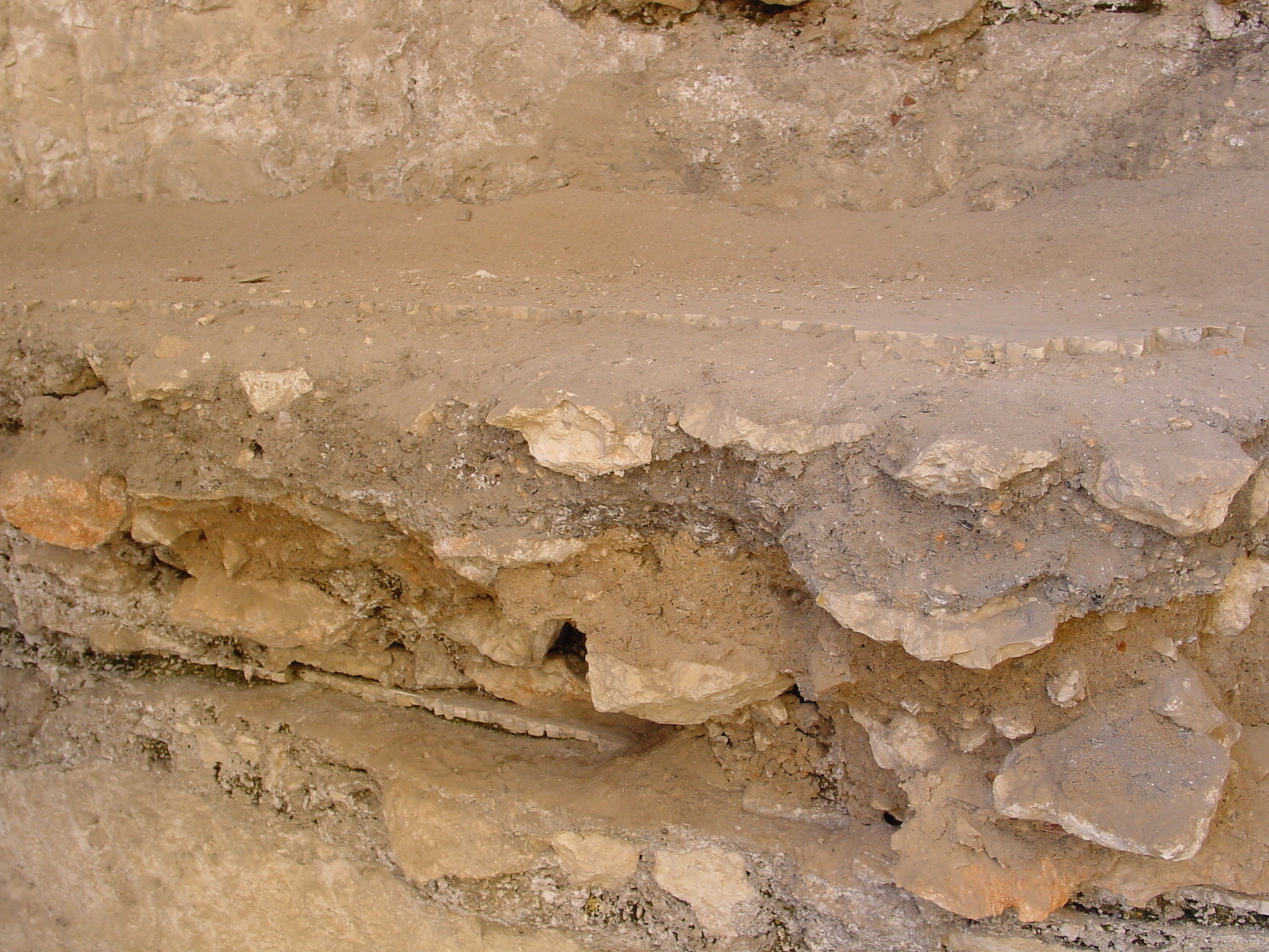pic04.JPG