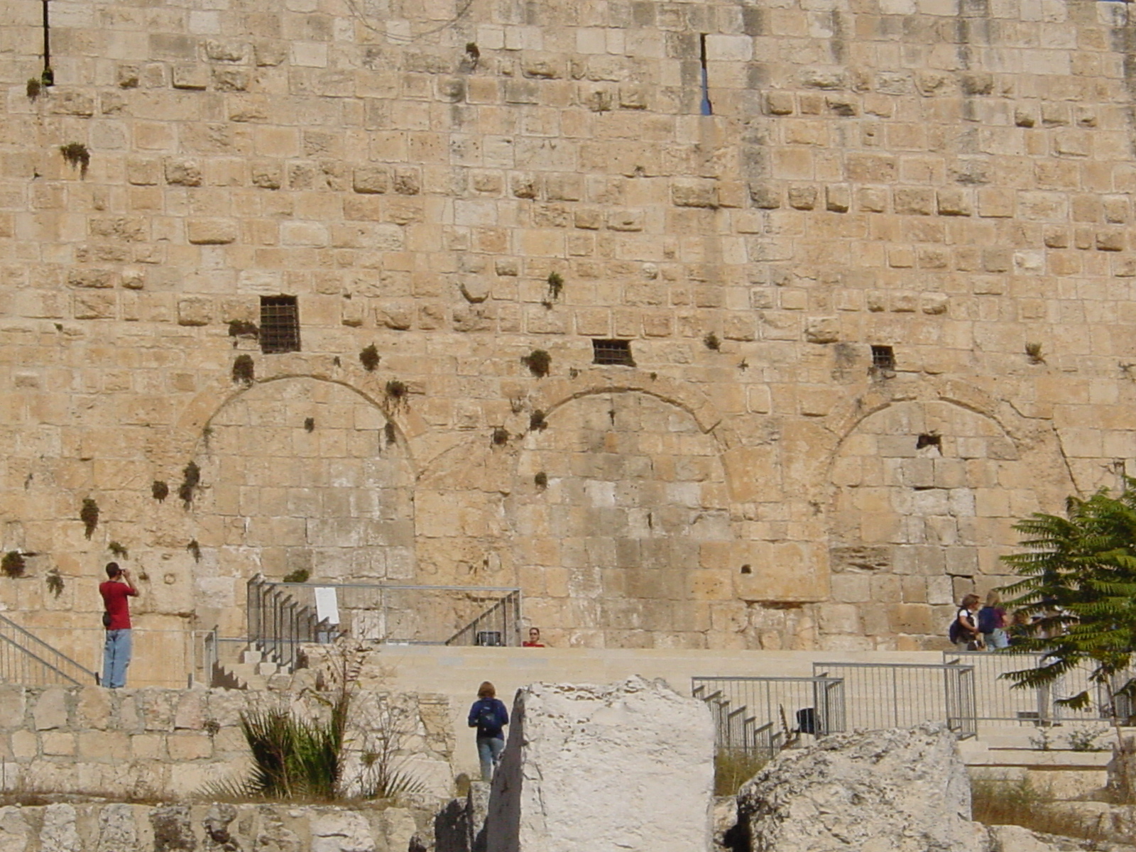 pic07.JPG