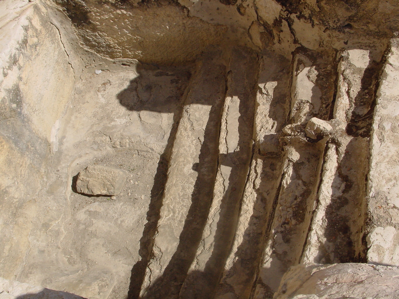 pic12.JPG