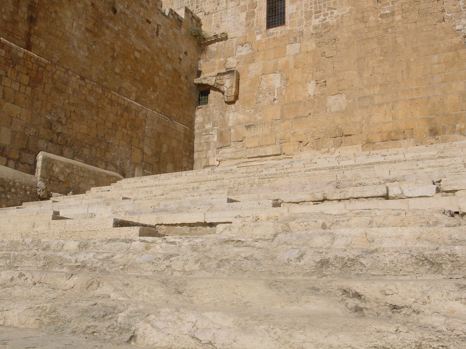 pic13.JPG