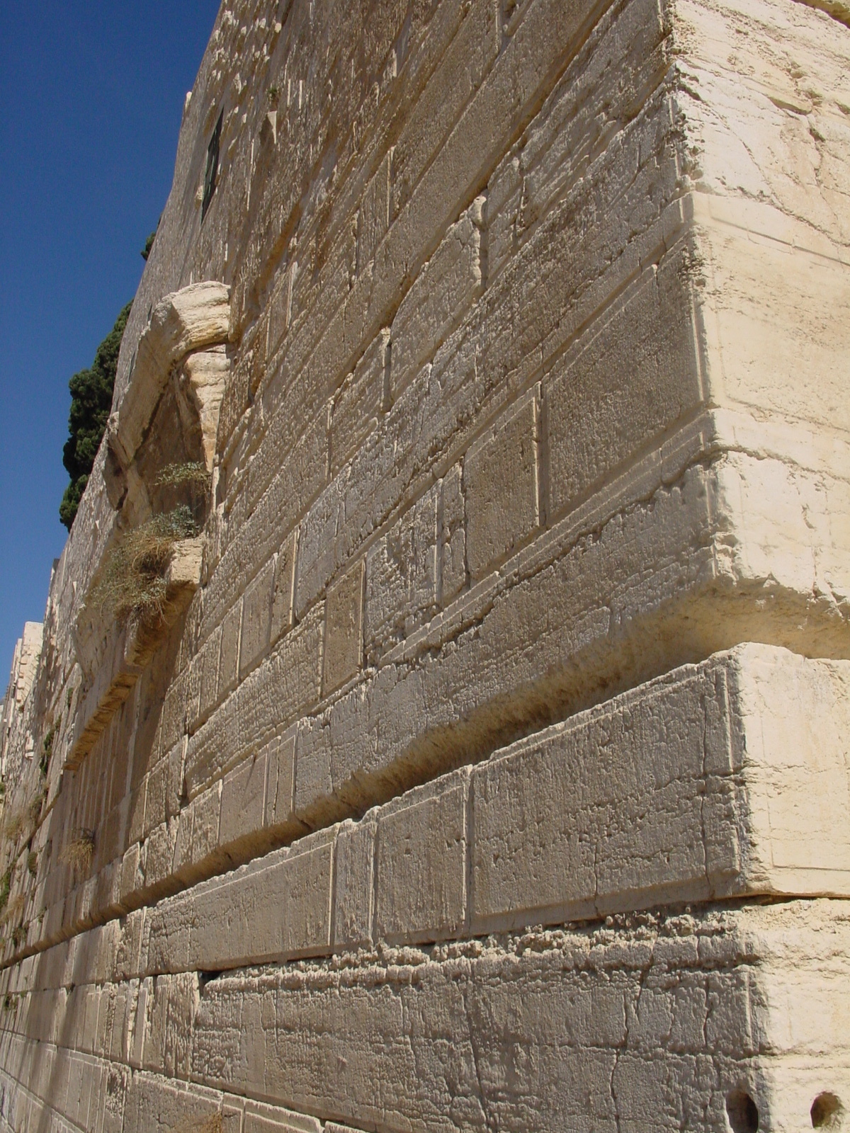 pic14.JPG