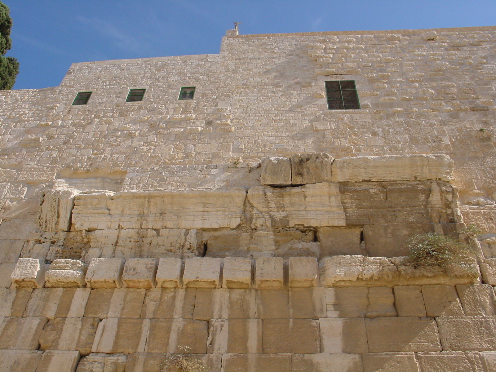 pic17.JPG